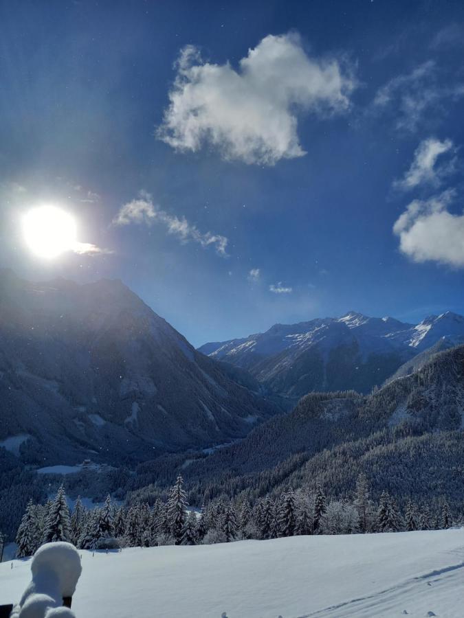 Appartement Reitlhof Wald im Pinzgau Εξωτερικό φωτογραφία