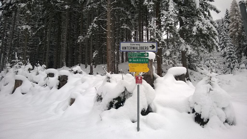 Appartement Reitlhof Wald im Pinzgau Εξωτερικό φωτογραφία