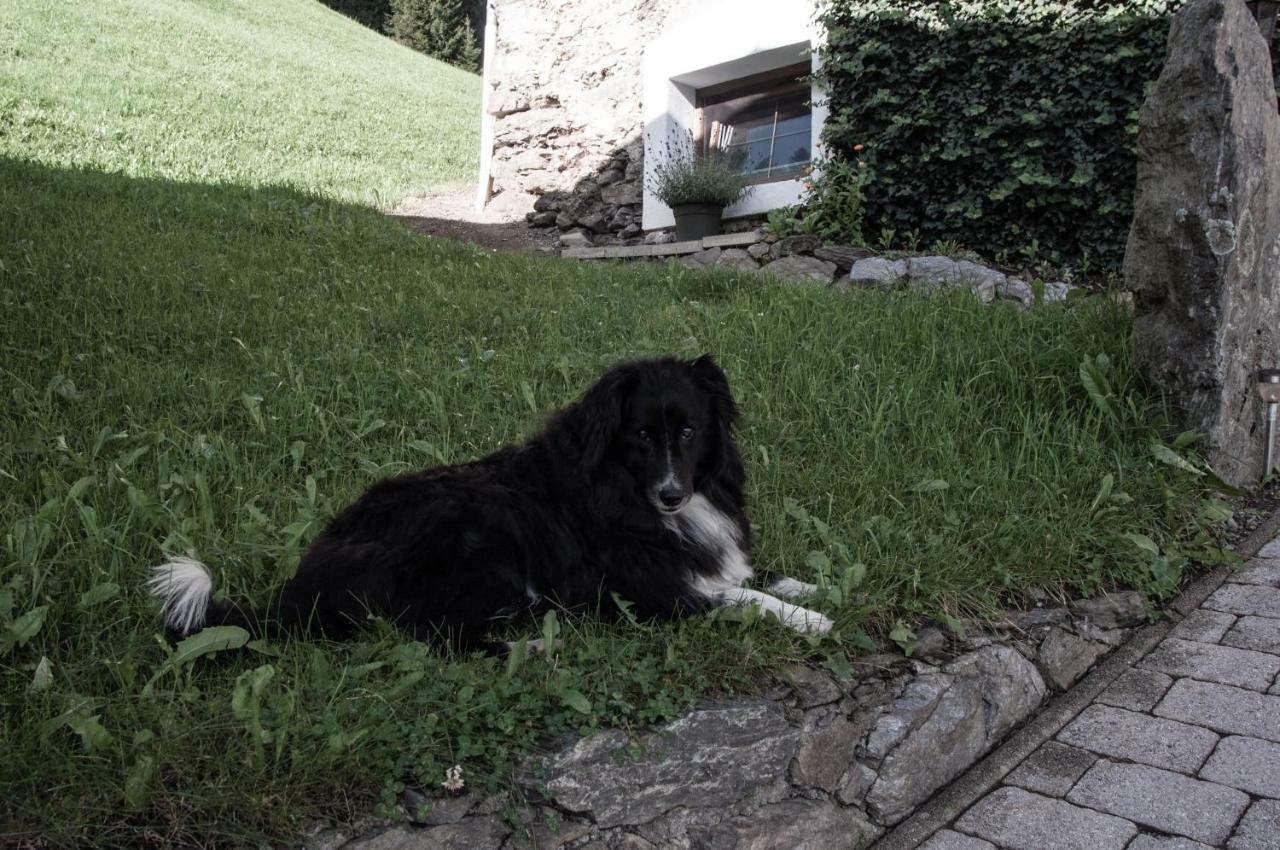 Appartement Reitlhof Wald im Pinzgau Εξωτερικό φωτογραφία